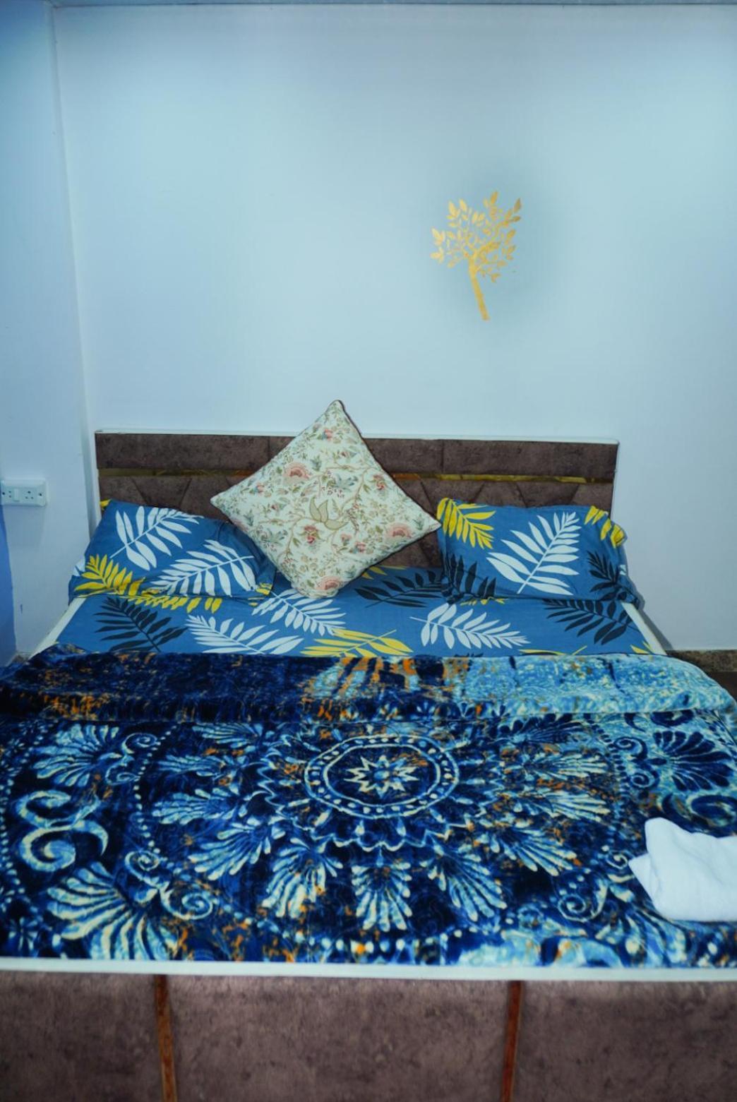 Flips With Mykonos Guest House New Delhi Exterior photo